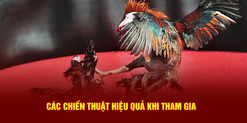 Các phương pháp chiến lược hiệu quả khi tham gia