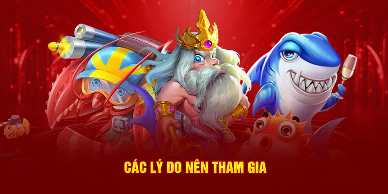 Các lý do nên tham gia