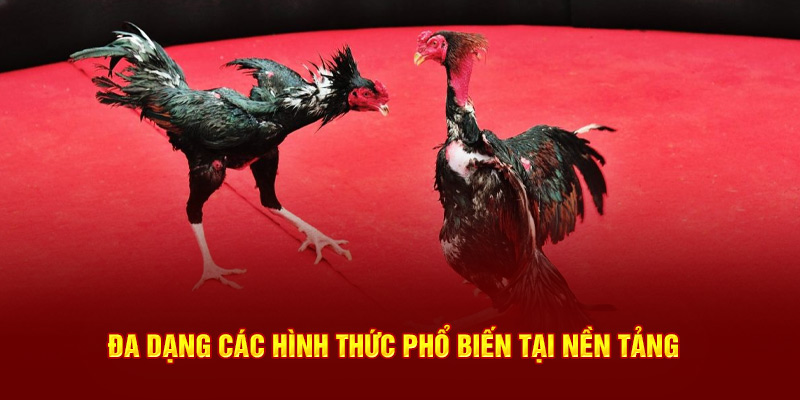 Đa dạng các hình thức phổ biến tại nền tảng