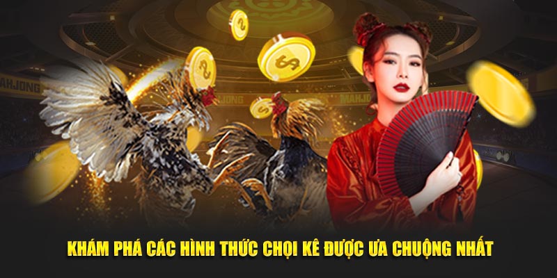 Khám phá các hình thức chọi kê được ưa chuộng nhất