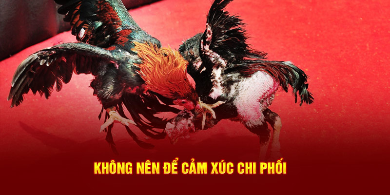 Không nên để cảm xúc chi phối 