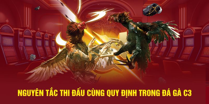 Nguyên tắc thi đấu cùng quy định trong đá gà C3