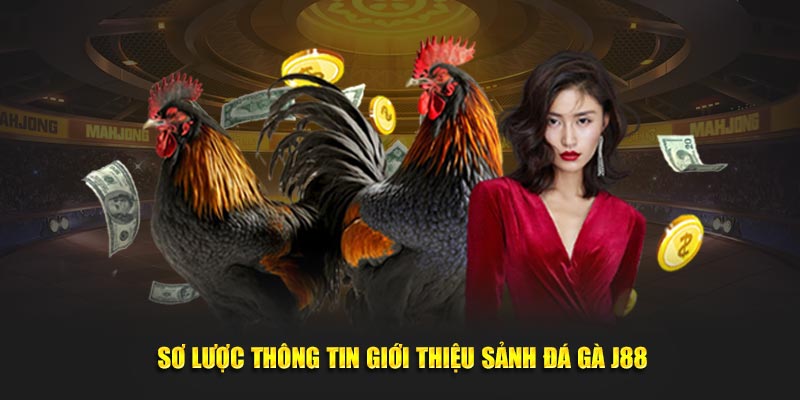 Sơ lược thông tin giới thiệu sảnh đá gà J88