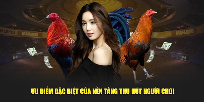 Ưu điểm đặc biệt của nền tảng thu hút người chơi